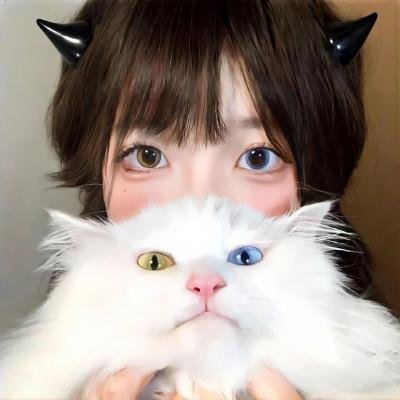 友趣的日子